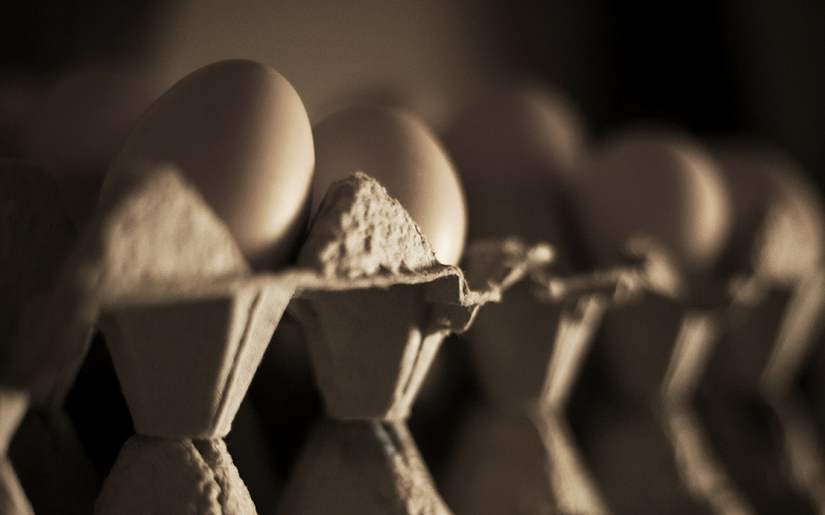 Benefits of Egg Yolk for Your Hair